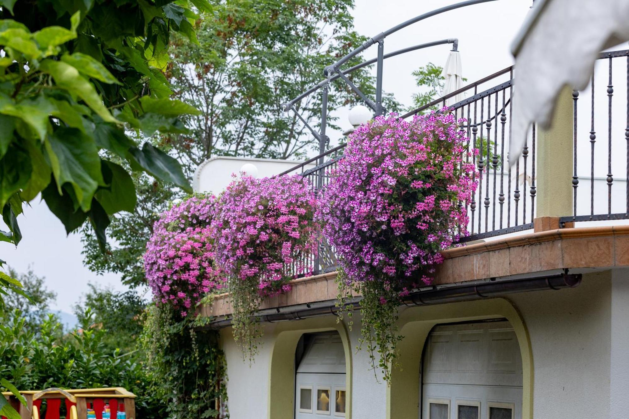 Tourist Farm Pri Andrejevih Villa Narin Exterior photo