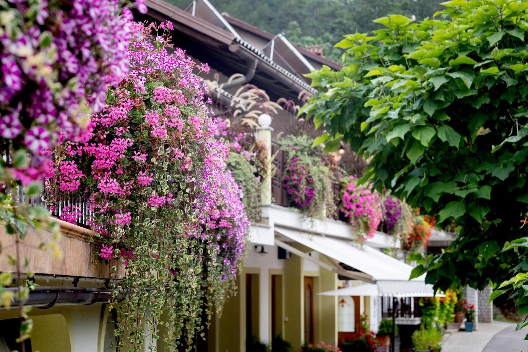 Tourist Farm Pri Andrejevih Villa Narin Exterior photo